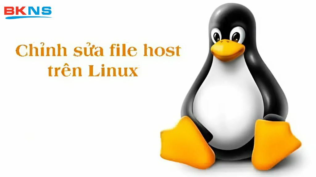 Cách chỉnh file host trên Linux
