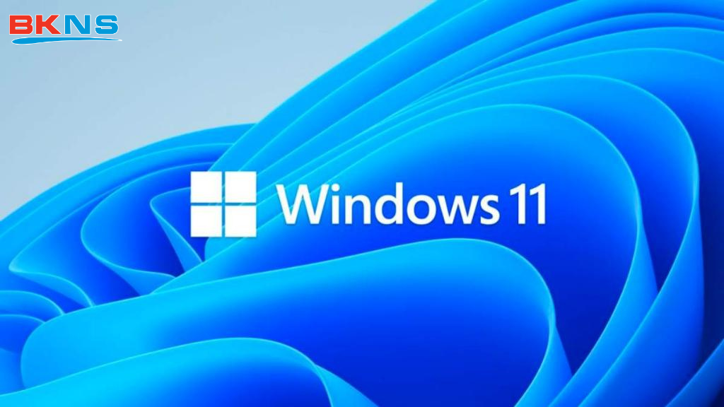 Windows 11