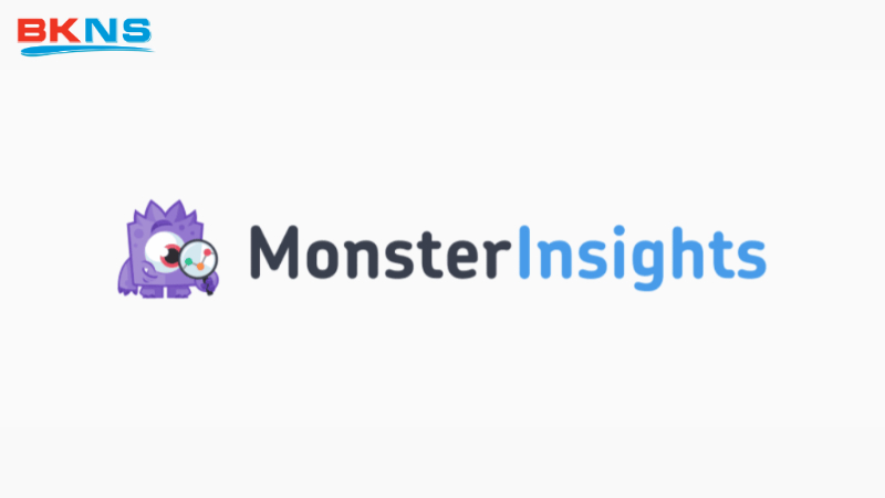 MonsterInsights Lite