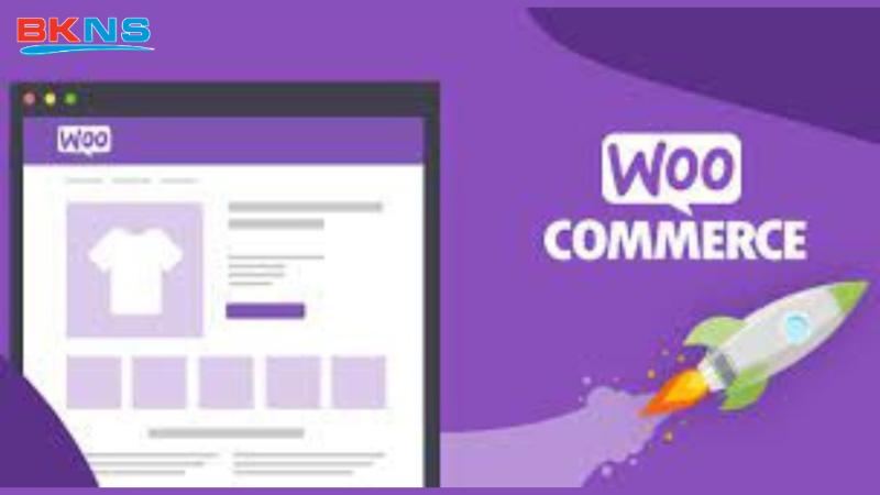 Plugin WooCommerce