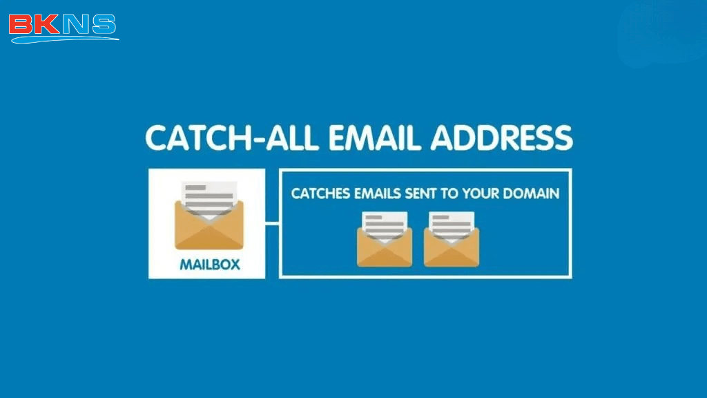 Tại sao doanh nghiệp nên (hoặc không nên) dùng Catch-All Email?