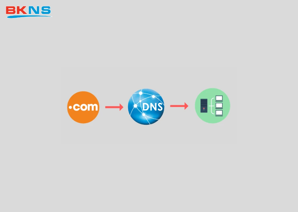 Sử dụng địa chỉ DNS như thế nào