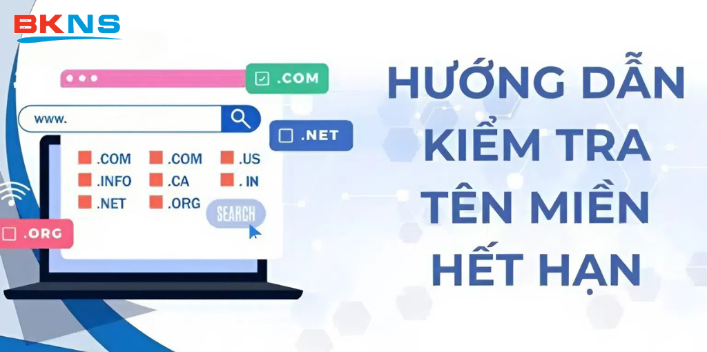 Hướng dẫn kiểm tra tên miền hết hạn