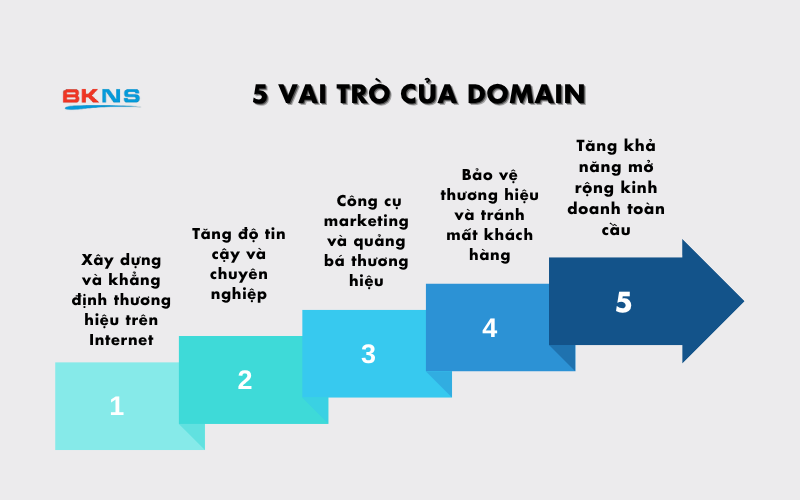 vai-tro-cua-domain (1)