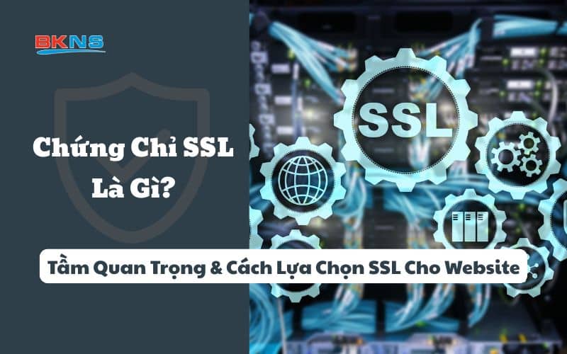 anh-bia-ssl