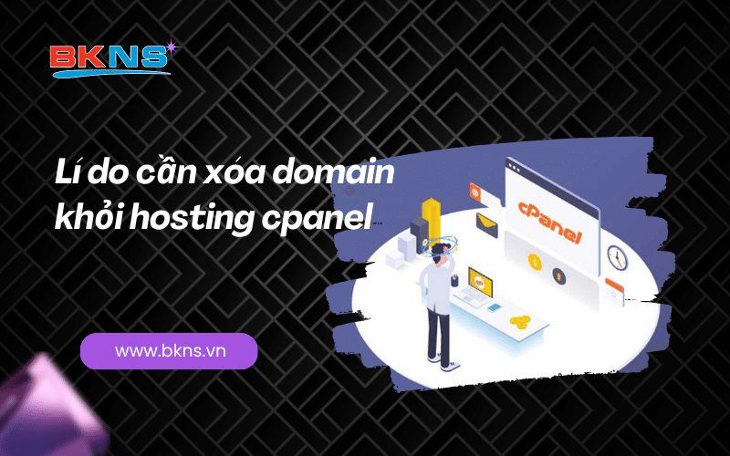 li-do-can-xoa-domain-khoi-hosting-cpanel