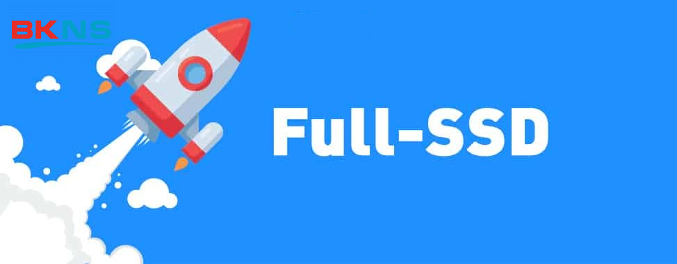 Dịch vụ Hosting tại BKNS được sử dụng 100% ổ cứng SSD