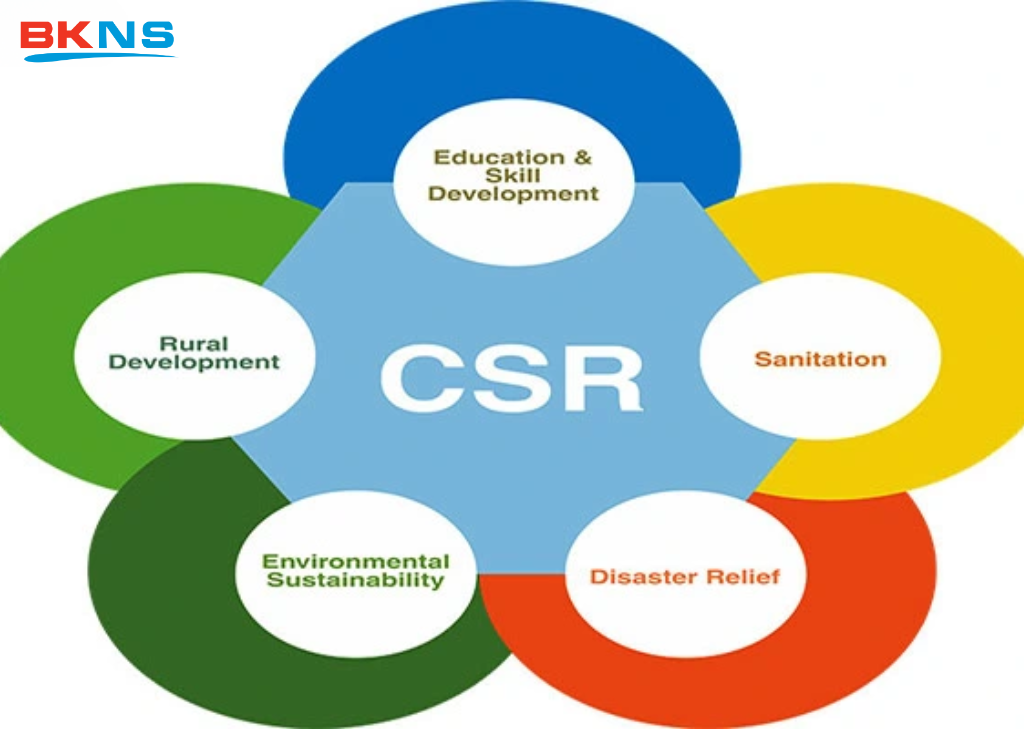 CSR trông như thế nào?