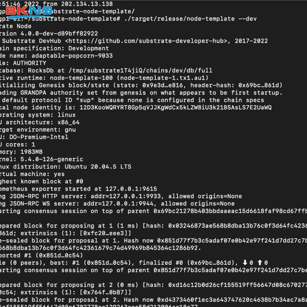 Chạy Node trên VPS