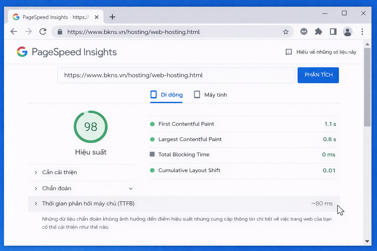Ảnh chụp màn hình kết quả Google PageSpeed Insights