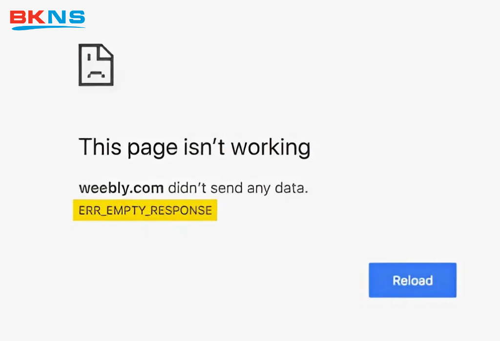 Mô tả một lỗi err_empty_response thường gặp
