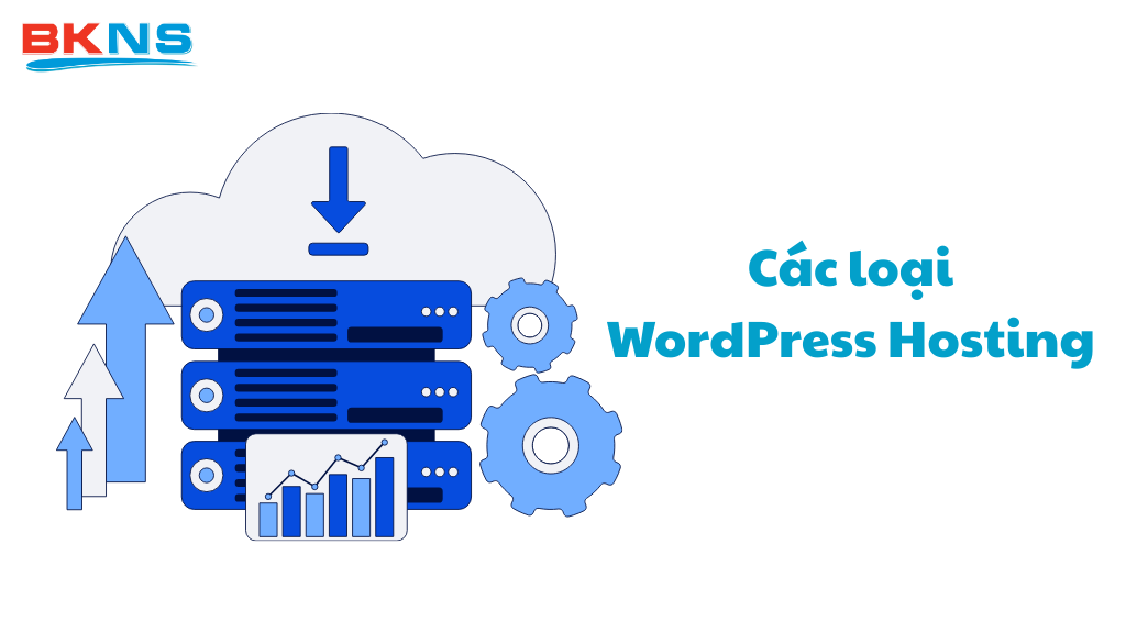 Tùy thuộc vào quy mô và nhu cầu của website, bạn có thể lựa chọn các loại WordPress Hosting khác nhau như Shared, Managed hay VPS.