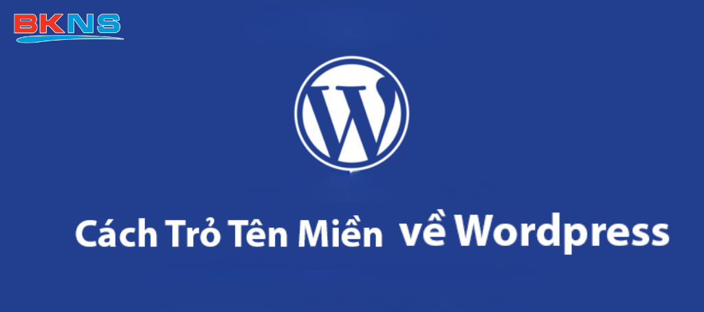 Các cách trỏ tên miền về WordPress phổ biến nhất