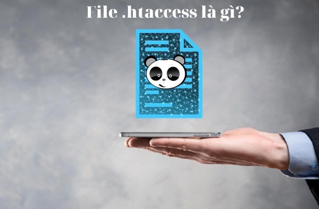 File .htaccess là file cấu hình phân tán của Apache và LiteSpeed