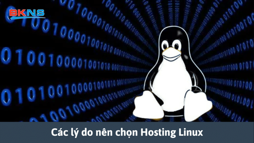 Các lý do nên chọn Hosting Linux