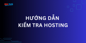 Hướng dẫn kiểm tra Hosting