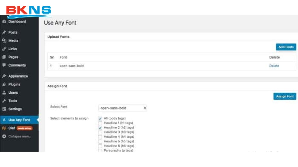 Plugin Use Any Font giúp thêm font vào wordpress
