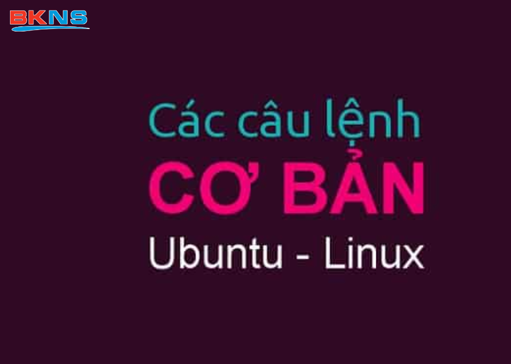 Những lệnh cơ bản trong Ubuntu
