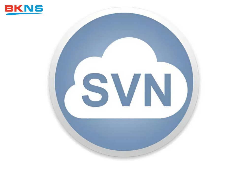SVN là gì?