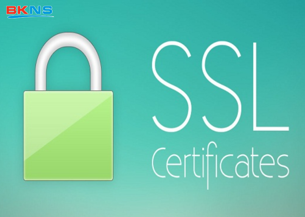 Các loại SSL Certificate phổ biến hiện nay