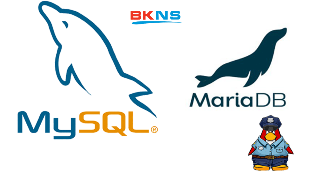 Cách Import, Export database trong MySQL hoặc MariaDB bằng terminal
