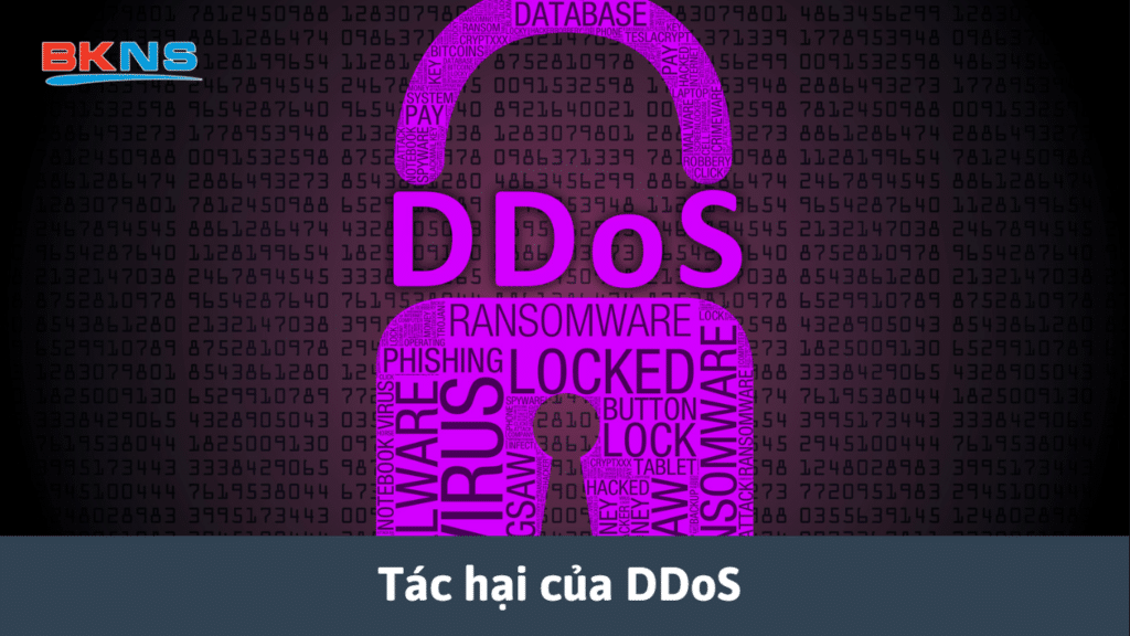 Tác hại của DDoS 