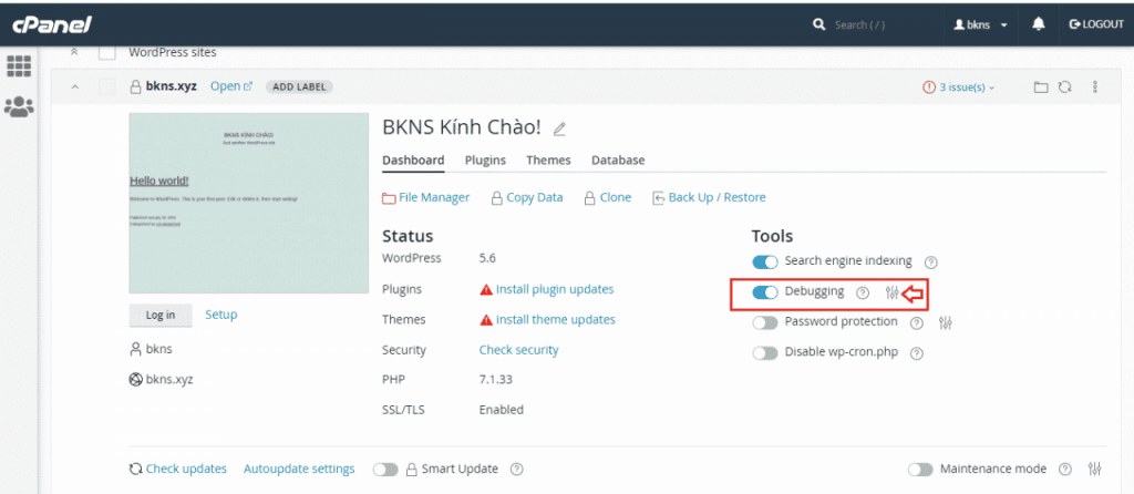 Hướng dẫn sử dụng WordPress Toolkit tích hợp trong hosting Cpanel