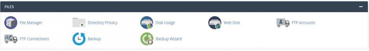 cpanel-hosting-file.jpg Cài đặt cPanel