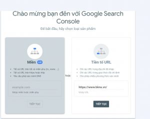 Google Search console