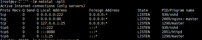 Check port running