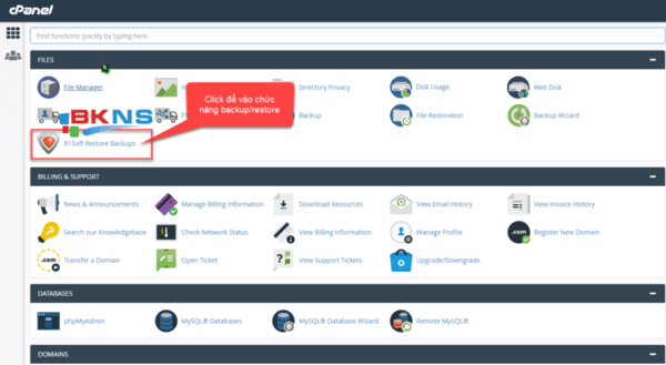 Hướng dẫn Backup và Restore dữ liệu bằng R1Soft trên Cpanel và Directadmin