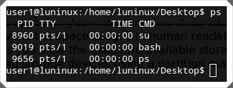 Các lệnh cơ bản trong Linux 2