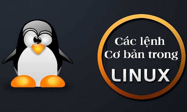 Các lệnh cơ bản trong Linux