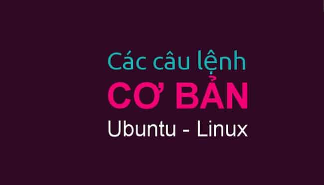 Những lệnh cơ bản trong Ubuntu