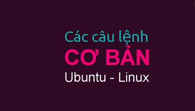 Các lệnh cơ bản trong Ubuntu – Linux: Bạn có biết?