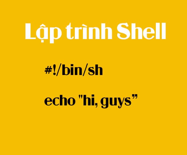 Cấu trúc điều khiển trong lập trình shell script