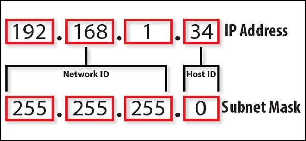 Địa chỉ IP là gì?