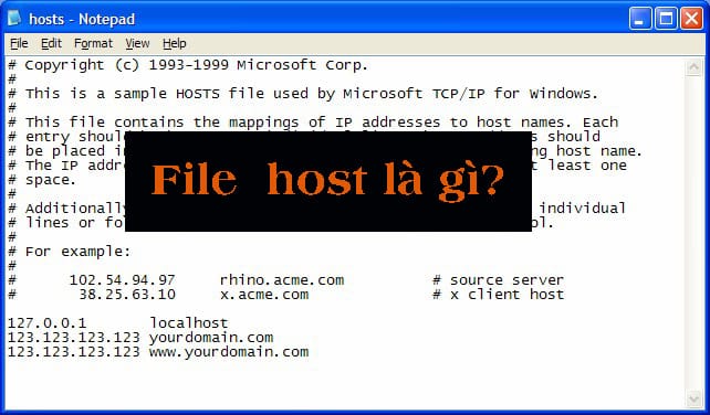 File Host là gì? Công dụng của file host