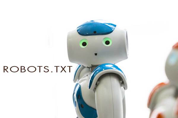 File robots.txt thiết lập bộ chỉ dẫn cho Search Engine Bots chỉ truy cập vào những trang quan trọng trên website