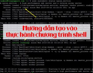 Tìm hiểu lập trình shell trong linux - Bạn đã biết? - BKNS