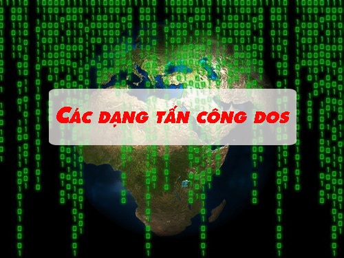 Những dạng tấn công DoS