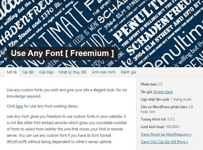 Plugin font chữ cho wordpress Use Any Font