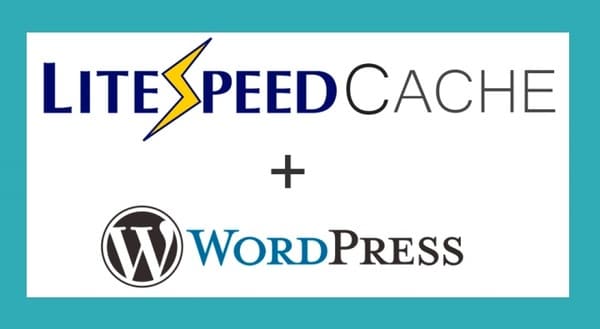 Litespeed cache là gì? Các tính năng của Litespeed cache