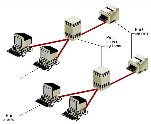 Print server là gì