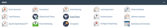 Linux cPanel Hosting