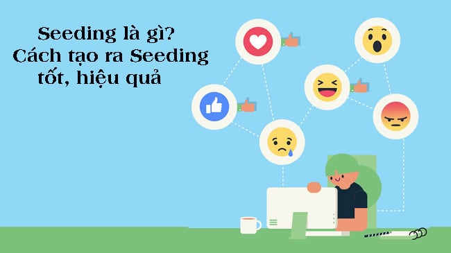 Seeding là gì?
