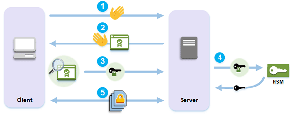 SSl là một tập hợp những thủ tục được chuẩn hóa