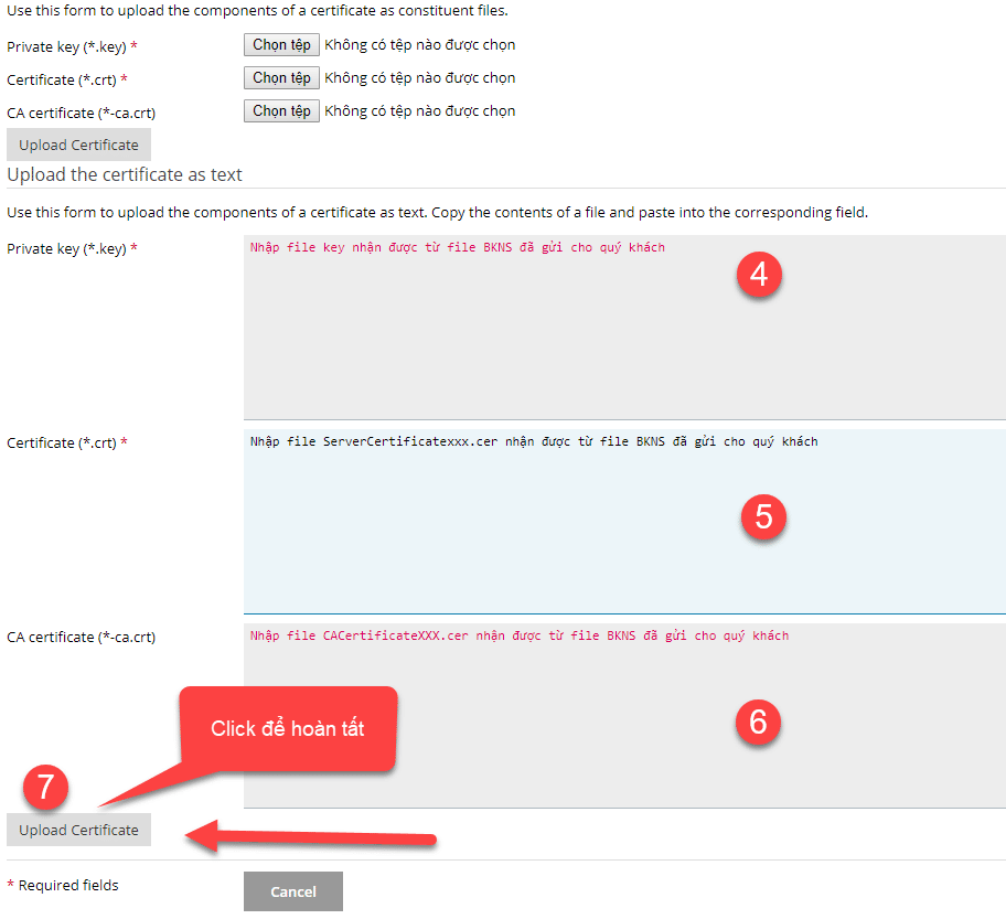 Cửa sổ mới xuất hiện Nhập nội dung các file SSL theo các bước số 4,5,6 trong hình