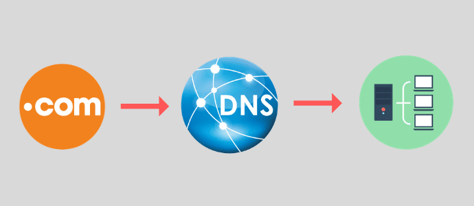 Sử dụng địa chỉ DNS như thế nào?
