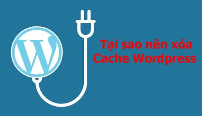Tại sao nên xóa Cache WordPress?